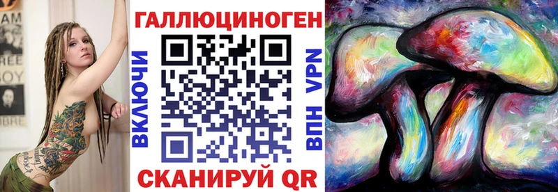 закладка  Мышкин  Галлюциногенные грибы Cubensis 